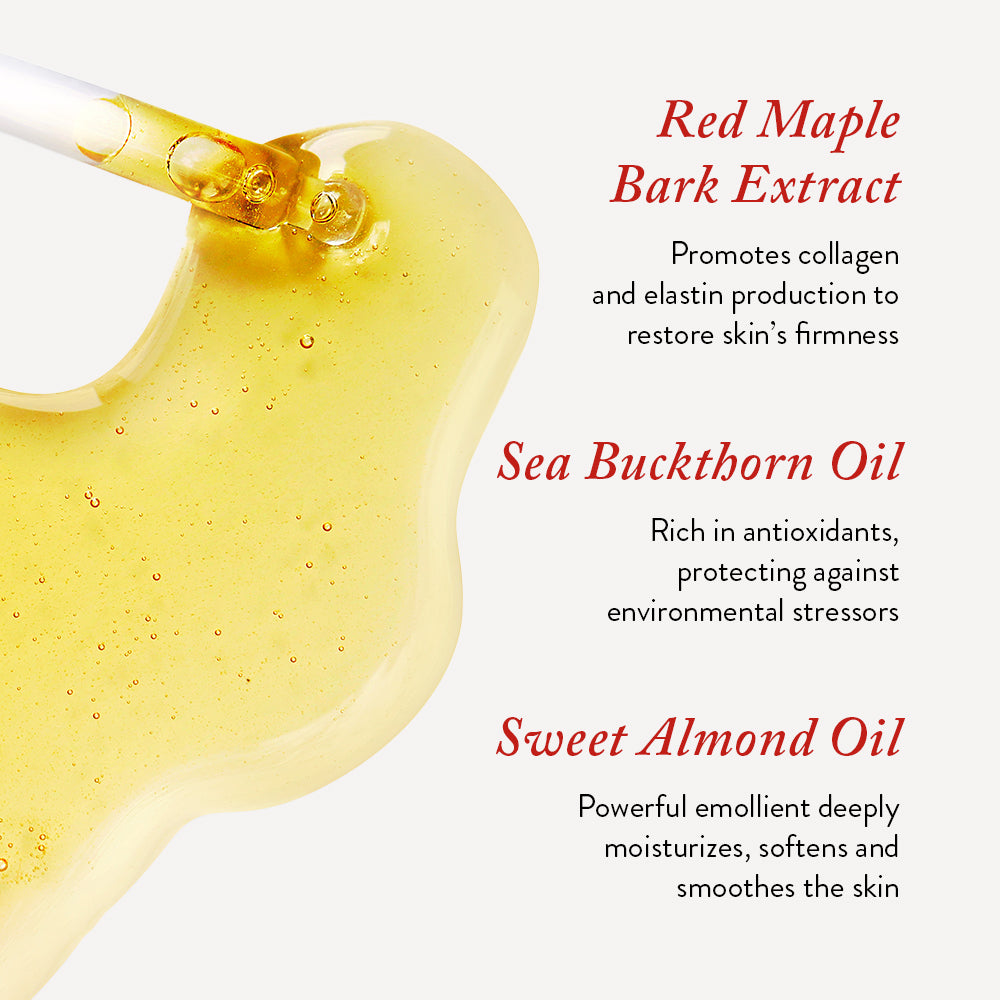 Northern Face Oil | Céla by Celine Tadrissi
